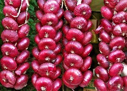 Oryginalny obrazek