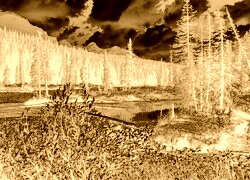 Sepia + Negatyw