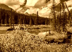Sepia
