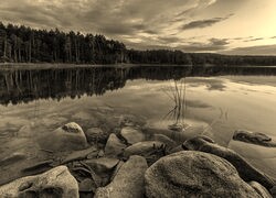 Szary + Sepia