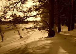Sepia