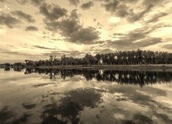 Szary + Sepia