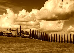Sepia