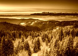 Sepia