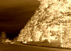 Sepia + Negatyw