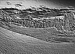 Skamielina