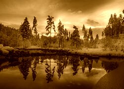 Sepia