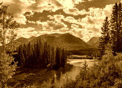 Sepia