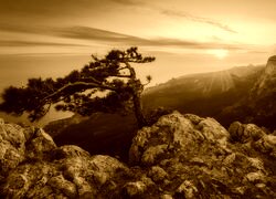 Sepia