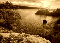 Sepia