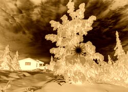 Sepia + Negatyw