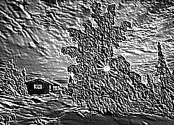 Skamielina