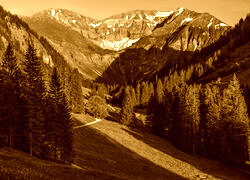 Sepia