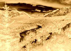 Sepia + Negatyw