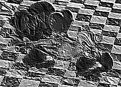 Skamielina