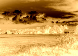 Sepia + Negatyw