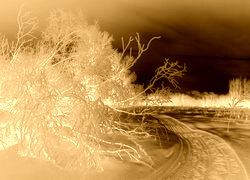 Sepia + Negatyw