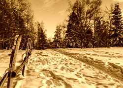 Sepia