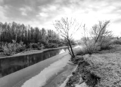 Szary + Sepia