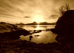 Sepia
