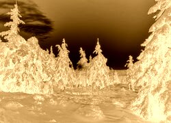 Sepia + Negatyw