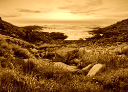 Sepia
