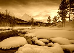 Sepia