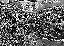 Skamielina