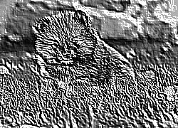 Skamielina