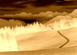 Sepia + Negatyw