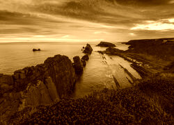 Sepia
