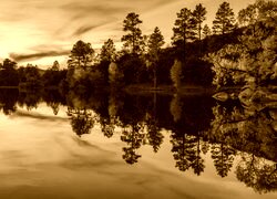 Sepia