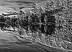 Skamielina