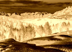 Sepia + Negatyw