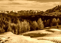 Sepia