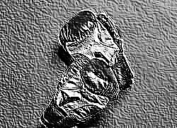 Skamielina