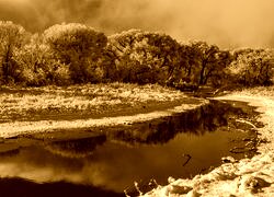 Sepia