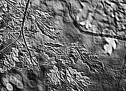 Skamielina