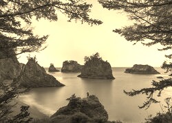 Sepia