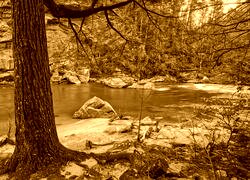 Sepia