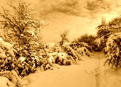 Sepia