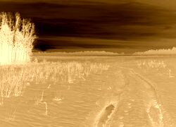 Sepia + Negatyw