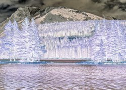 Negatyw