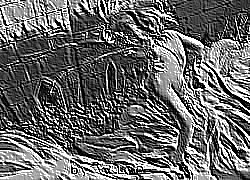 Skamielina