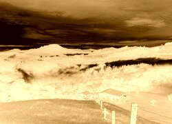 Sepia + Negatyw