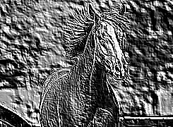 Skamielina