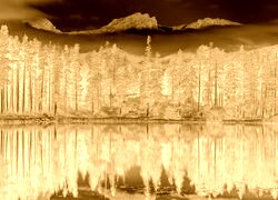 Sepia + Negatyw