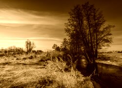 Sepia
