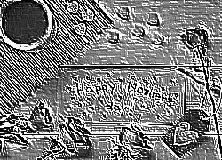 Skamielina