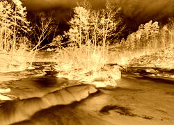Sepia + Negatyw